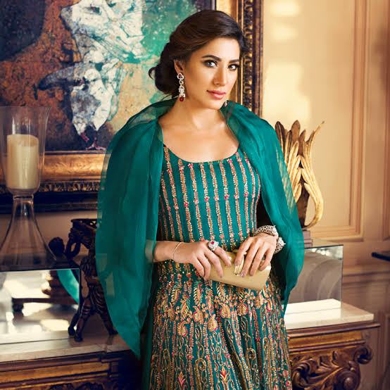 Mehwish Hayat 3